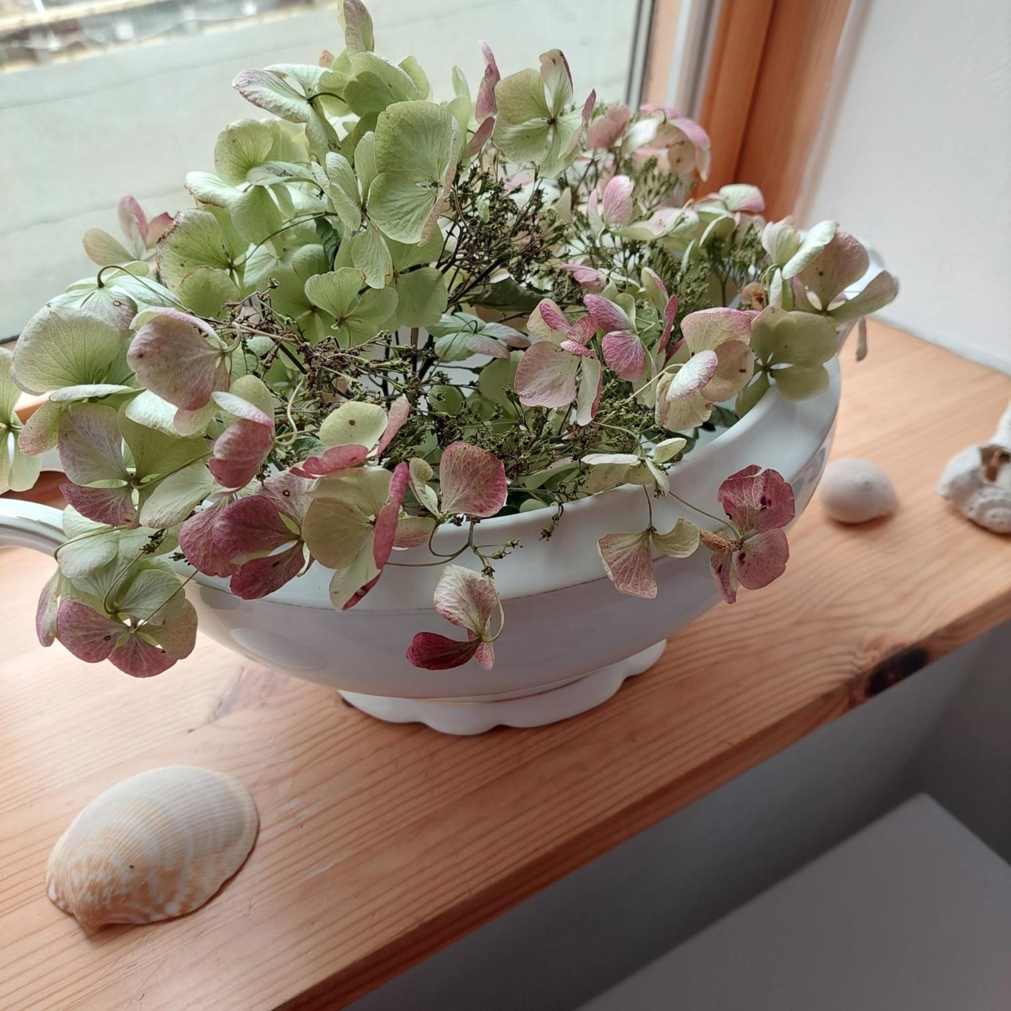 "Nordwest" Ferienwohnung Prerow Esterno foto